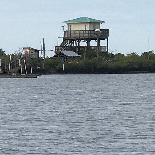 Top 10 Things To Do Good For Couples In Homosassa Florida Fl Top 10 Things To Do Good For Couples In Homosassa Florida Fl