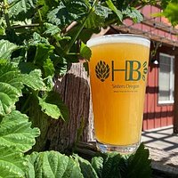 A pint out on our patio, next to some growing hops.