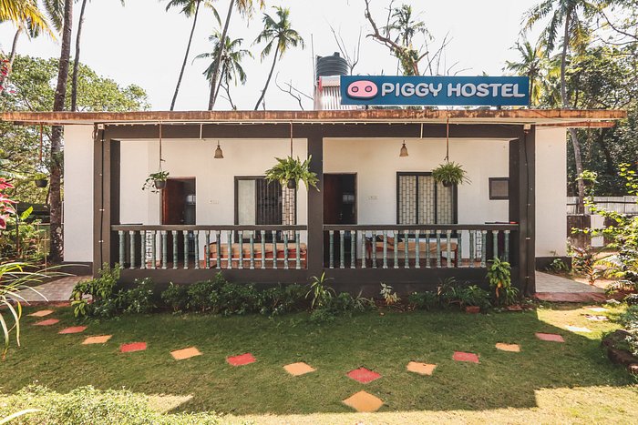 PIGGY HOSTEL CALANGUTE $10 ($̶2̶6̶) - Updated 2023 Reviews - Goa