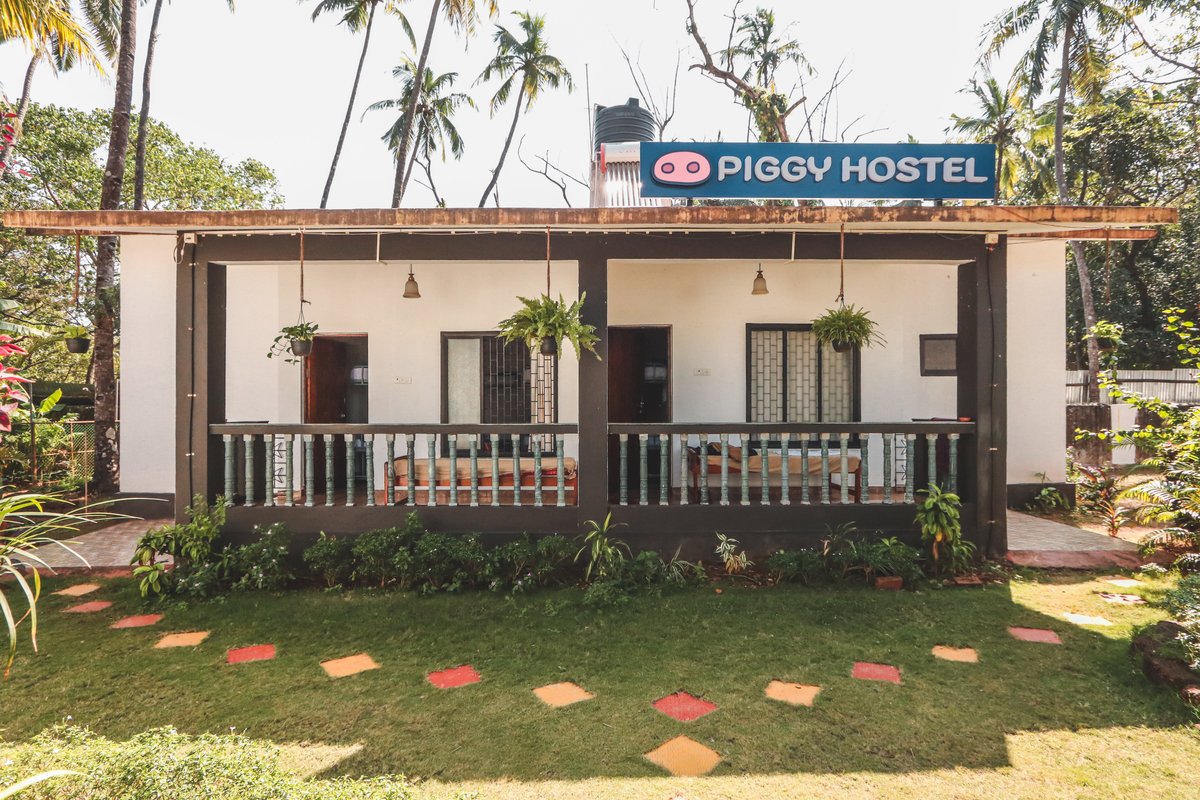 PIGGY HOSTEL ARAMBOL (Арамболь) - отзывы и фото - Tripadvisor