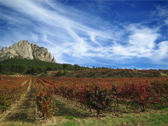 Imagen 10 de Castillo de Sajazarra