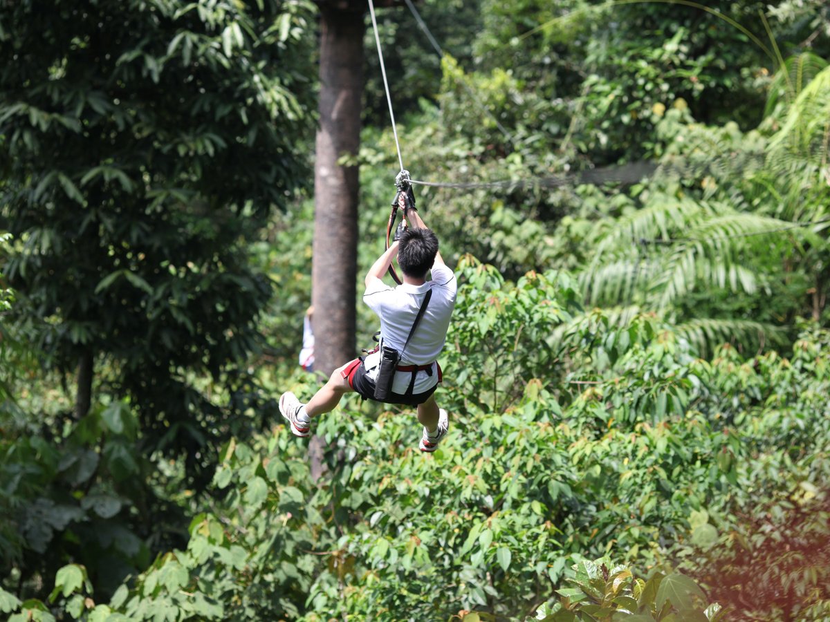 Skytrex Adventure Langkawi - All You Need To Know Before You Go (2024)