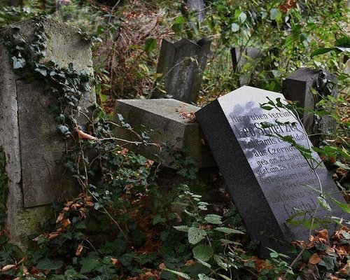 Wildlife Watching in Vienna Cemeteries