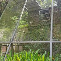 Jurong Bird Park (Singapore) - All You Need to Know BEFORE You Go