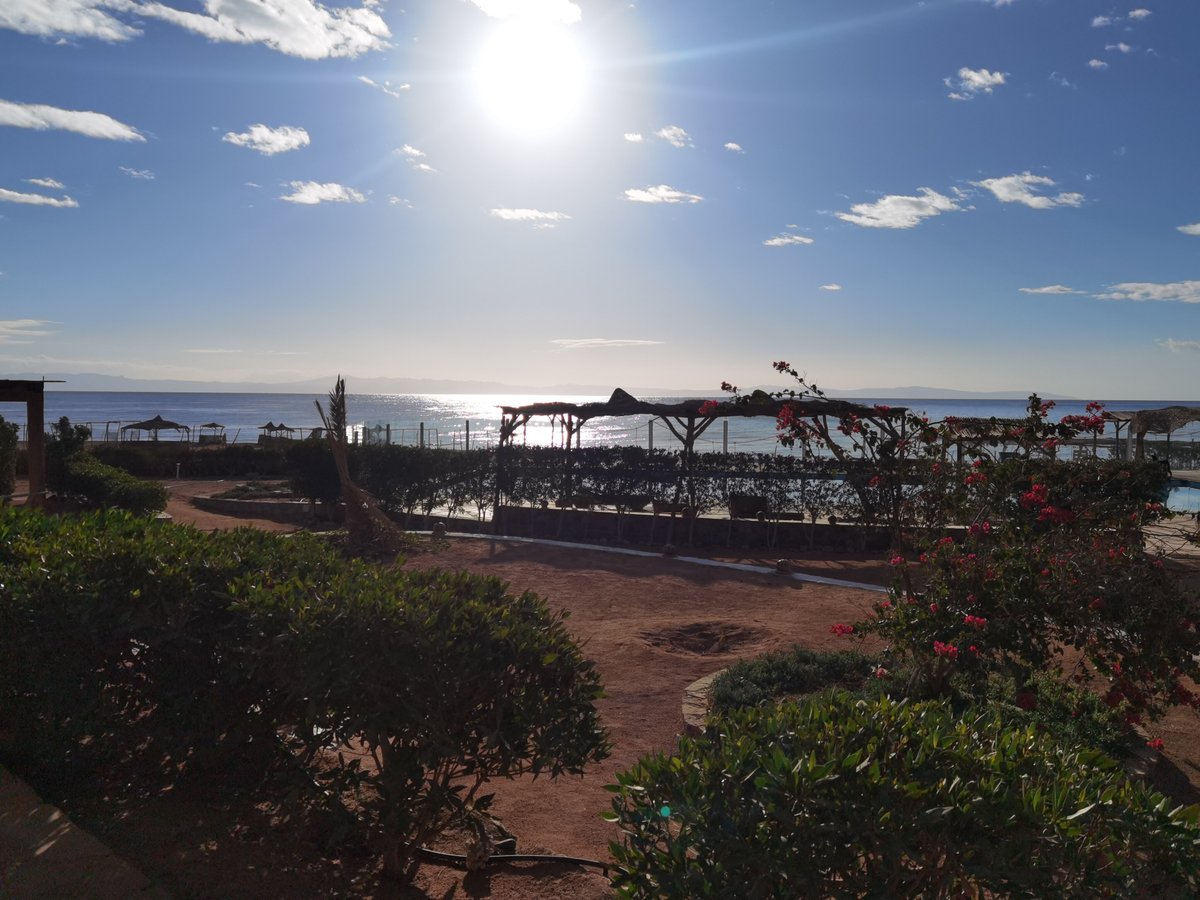 CANYON ESTATE DAHAB BEACH HOTEL RESIDENCE (Дахаб) - отзывы, фото и  сравнение цен - Tripadvisor