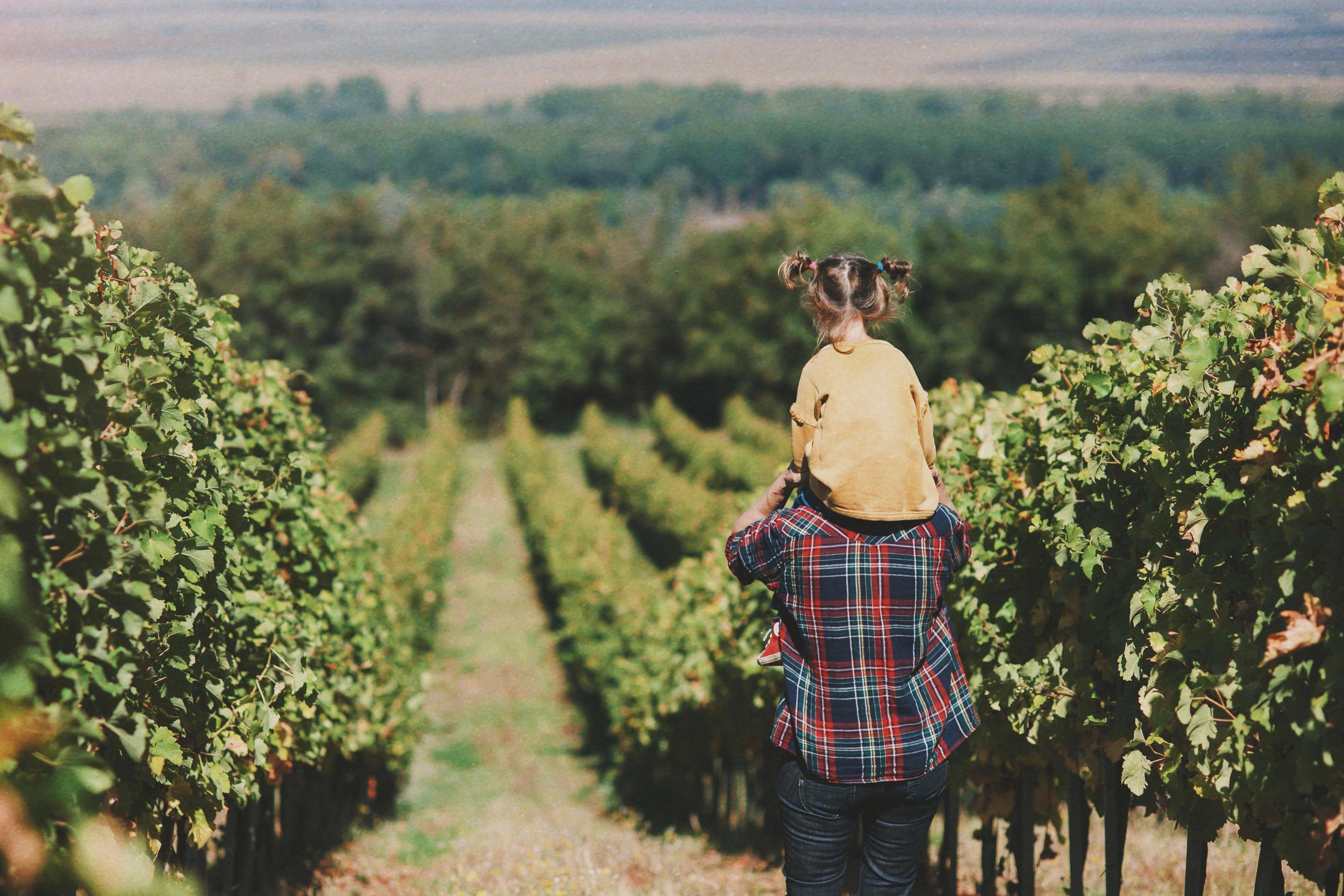 Family friendly wineries outlet near me