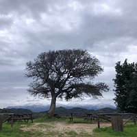 Lovely walk