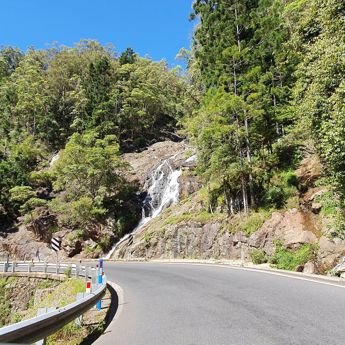 SHERRARD FALLS (Dorrigo): Ce qu'il faut savoir pour votre visite (avec ...