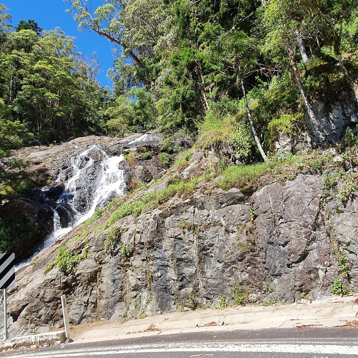 Sherrard Falls (Dorrigo): All You Need to Know BEFORE You Go