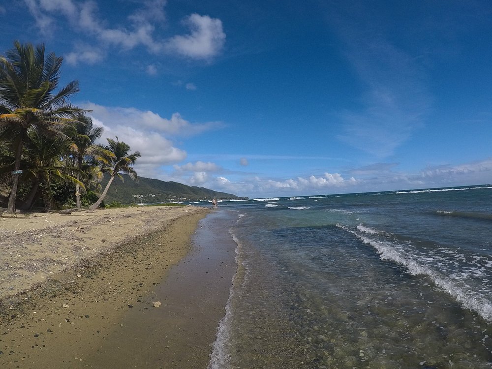 The 15 Best Things To Do In Patillas 2023 With Photos Tripadvisor