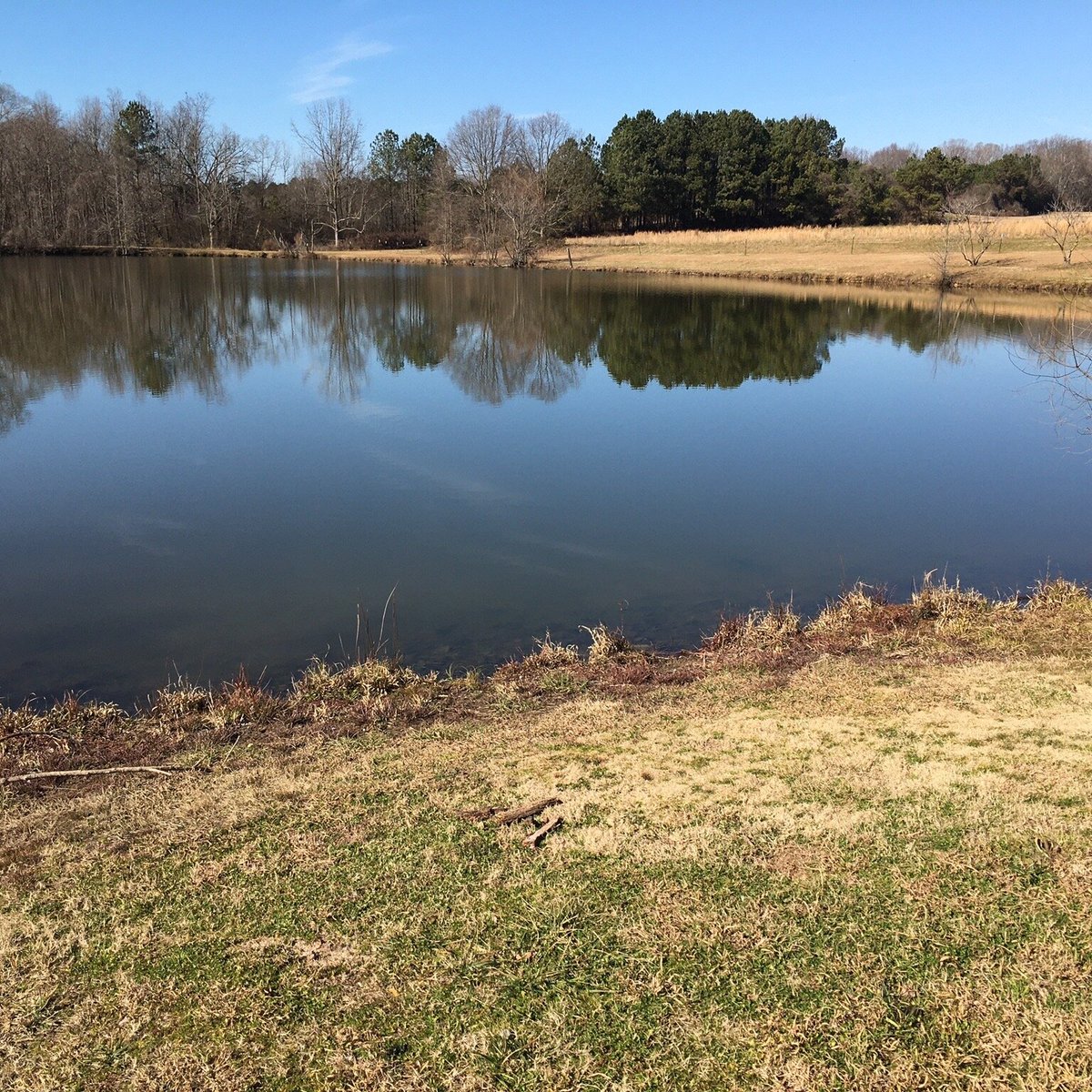 Lamar Murphy Park (Jefferson) - All You Need to Know BEFORE You Go