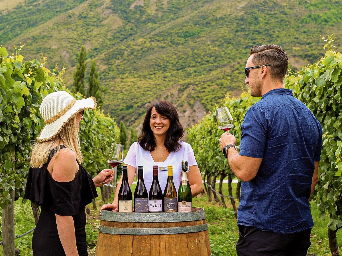 wine tours from queenstown