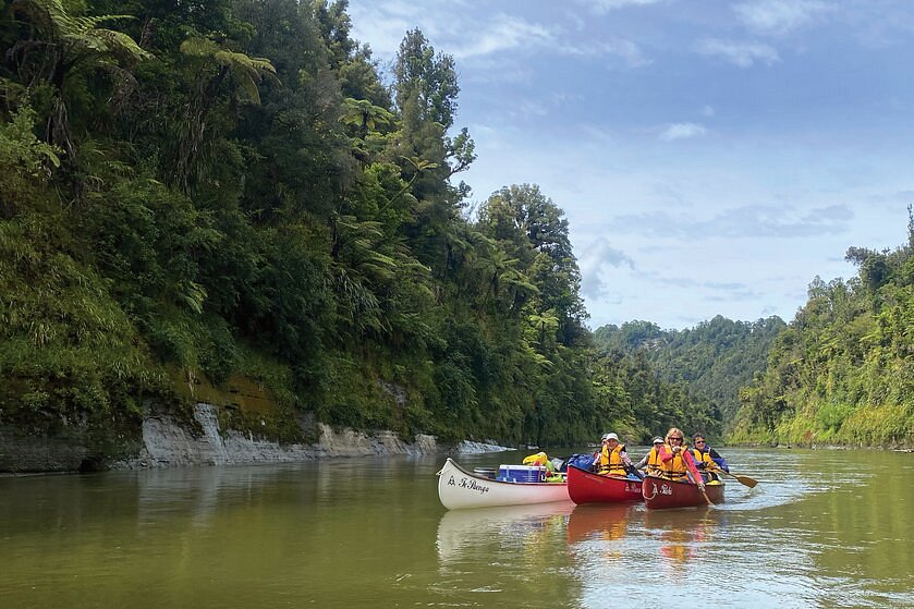 whanganui river one day trip