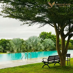 Birds Resort Hambantota, hotel in Tangalle