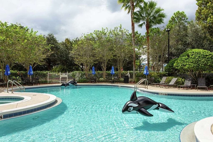 Hilton Garden Inn Orlando At Seaworld Updated 2021 Prices Hotel Reviews And Photos Florida
