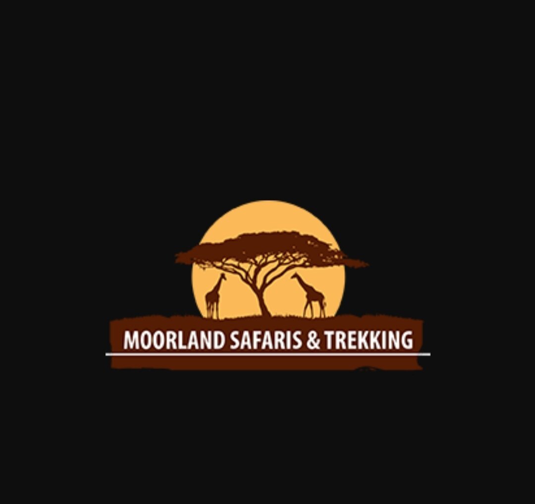 Moorland Safari and Trekking (Arusha) - All You Need to Know BEFORE You Go