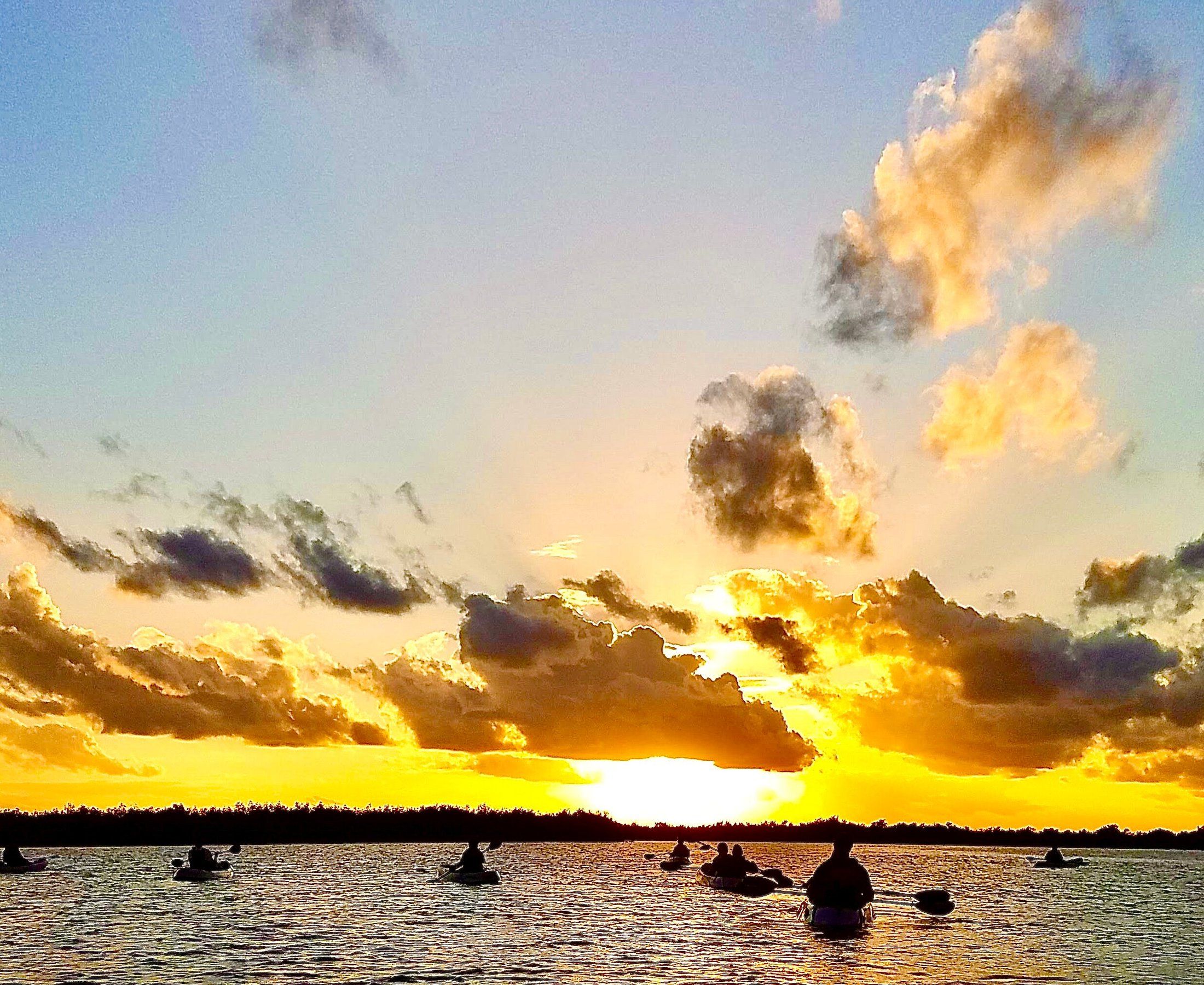 Fin Expeditions (2025) - All You Need to Know BEFORE You Go (w/ Reviews)