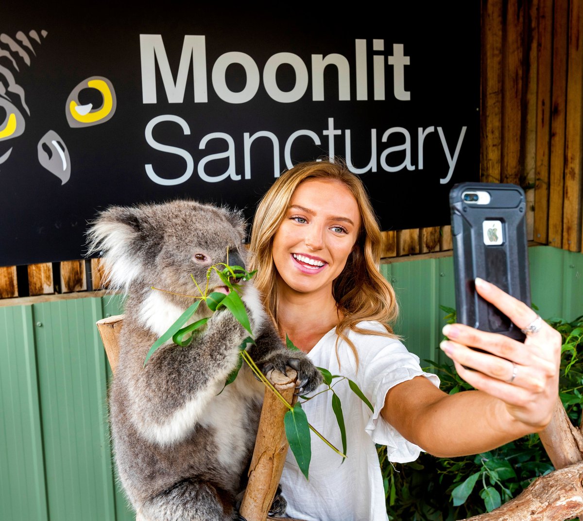 Moonlit Sanctuary Wildlife Conservation Park, Pearcedale: лучшие советы  перед посещением - Tripadvisor