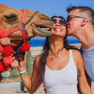 camel tour cabo san lucas