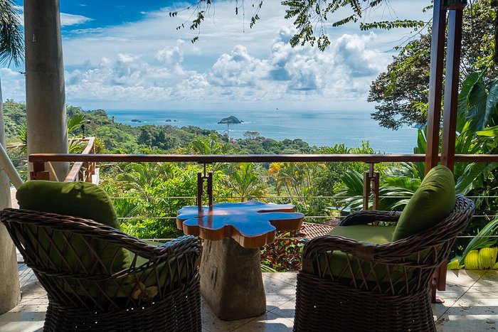 SI COMO NO RESORT WILDLIFE - 2023 Prices & Hotel Reviews (Costa Rica/Manuel Antonio)