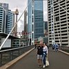 diluca2018