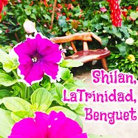 Garden nén Ines is located at Km.12 Shilan, La Trinidad, Benguet Suited for plant enthusiast, they've gor different collections of plants
