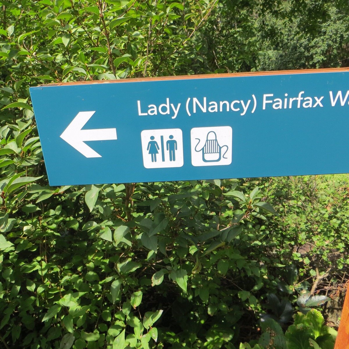 the-lady-nancy-fairfax-walk-mount-tomah-2023-qu-saber-antes-de-ir