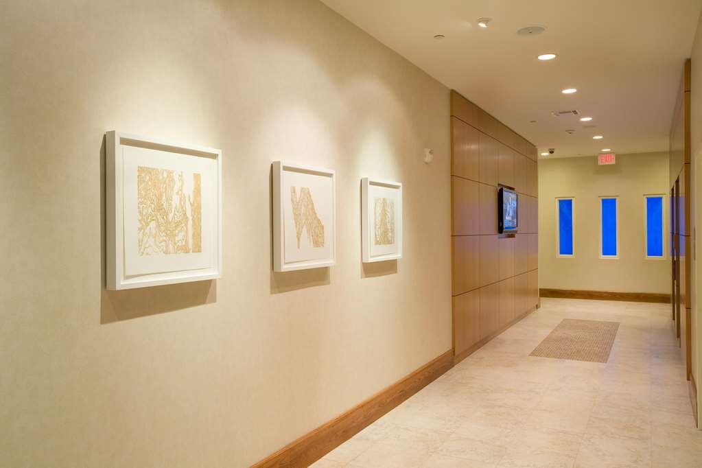 Hotel photo 20 of Hilton Garden Inn Dallas / Richardson.
