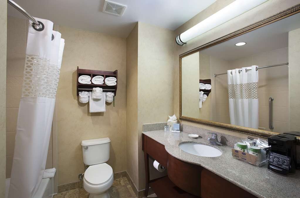 Hotel photo 15 of Hampton Inn Orlando/Lake Buena Vista.