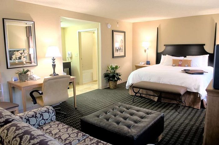 HAMPTON INN & SUITES MOBILE PROVIDENCE PARK/AIRPORT (Mobile, AL) - foto