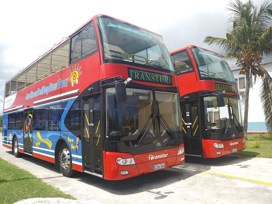 Jardines Del Rey Bus Tour, Кайо-Коко: лучшие советы перед посещением -  Tripadvisor