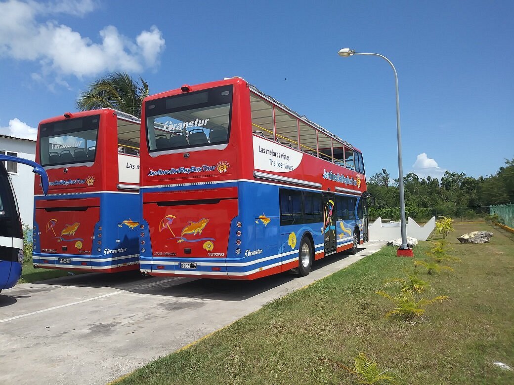 Jardines Del Rey Bus Tour (Cayo Coco) - All You Need to Know BEFORE You Go