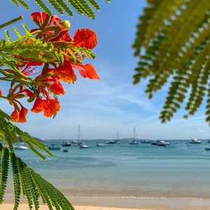 Praia dos Ossos