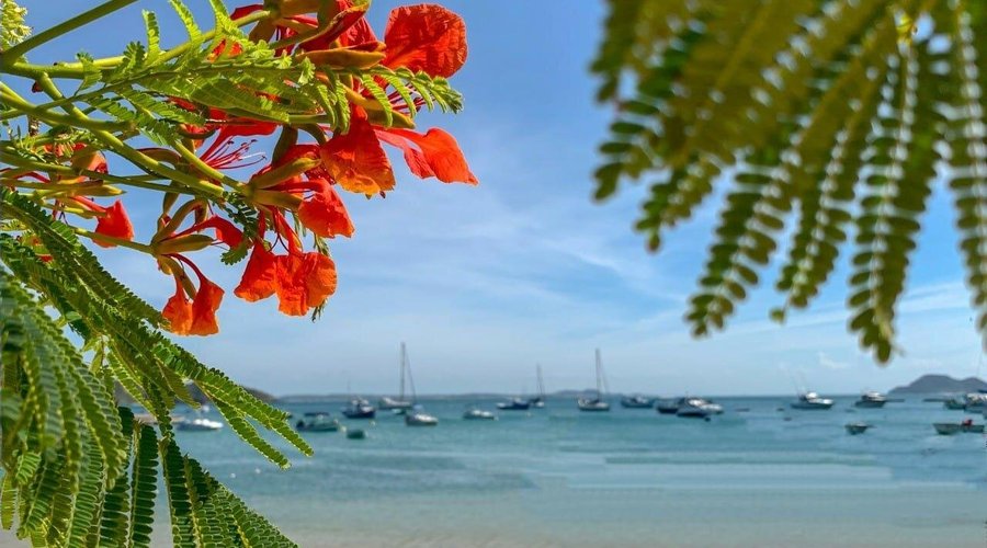 Praia dos Ossos