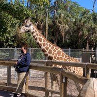 Naples Zoo at Caribbean Gardens - All You Need to Know BEFORE You Go (2024)