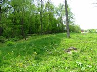 Nitschke Mounds Park - All You Need to Know BEFORE You Go (2024)