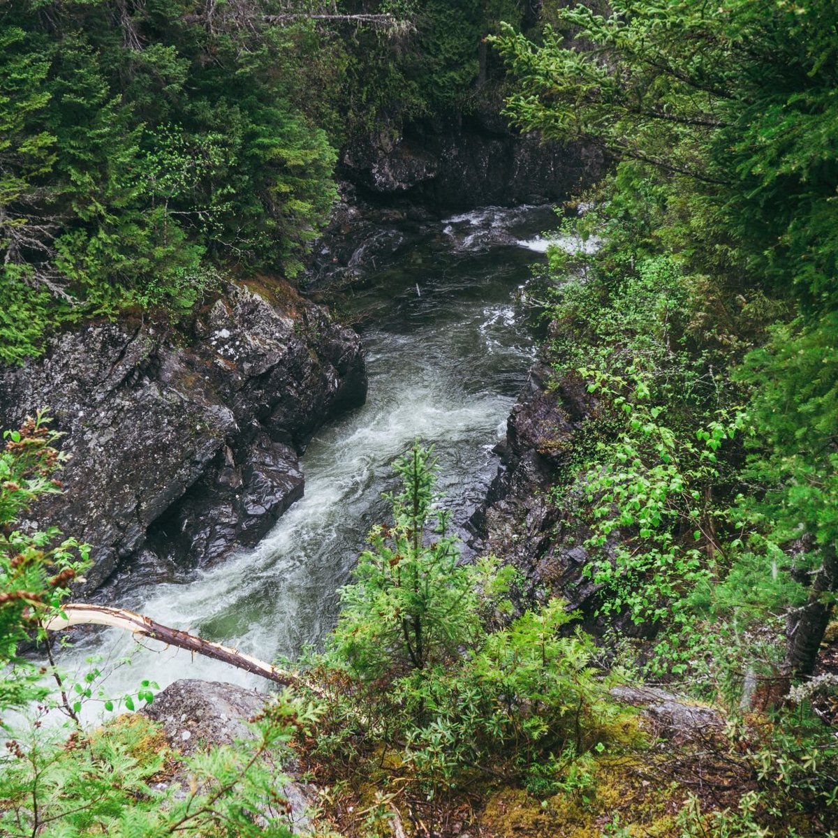 CHUTE SAINTE ANNE (Sainte Anne des Monts) - All You Need to Know BEFORE ...