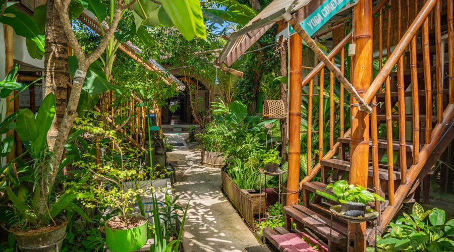 Our permaculture garden