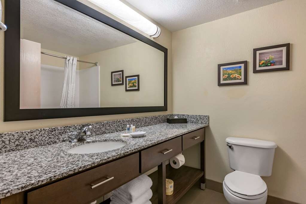 Hotel photo 5 of Comfort Suites Maingate East.