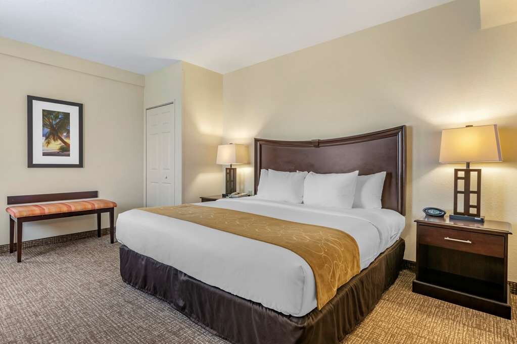 Hotel photo 21 of Comfort Suites Maingate East.