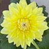 Anubhuti S