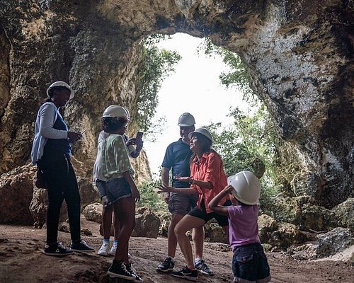 jungle tour in puerto rico