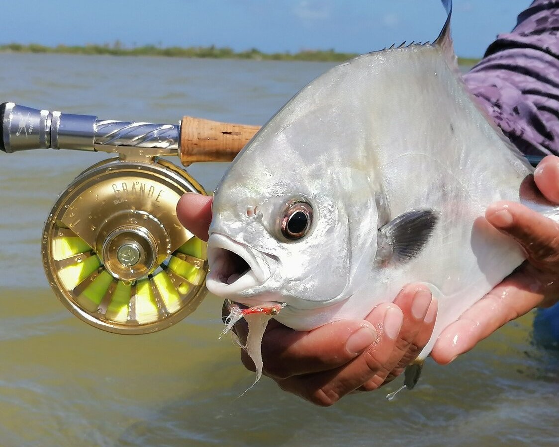 Bonefish Cozumel - All You Need to Know BEFORE You Go