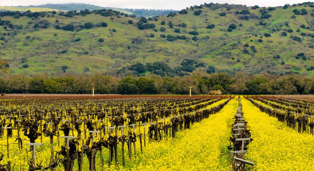 Yountville 2021: Best of Yountville, CA Tourism - Tripadvisor