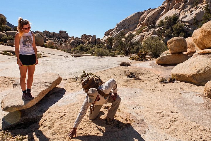 guided tour joshua tree