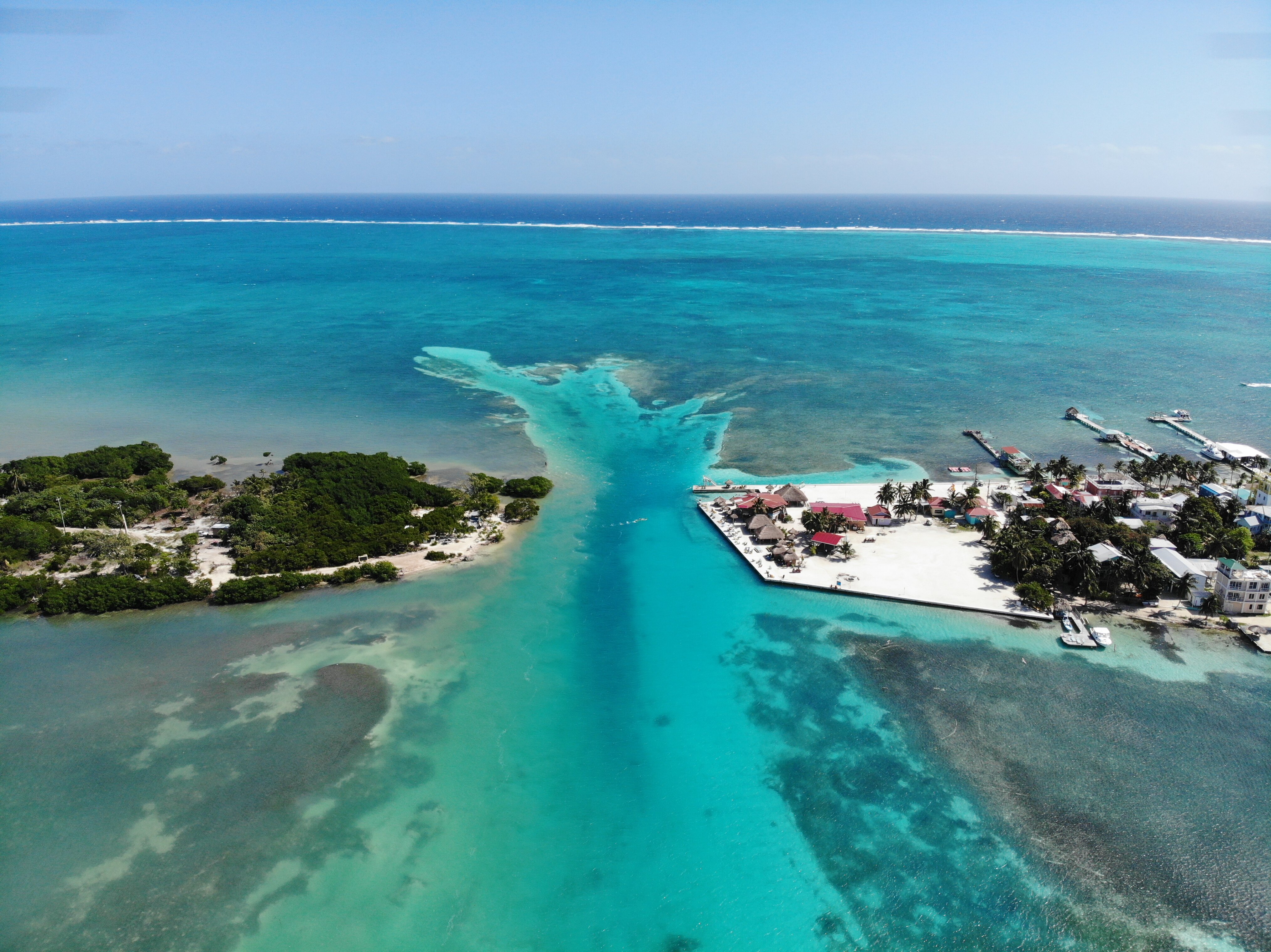 Blu Zen Caye Caulker Pool: Pictures & Reviews - Tripadvisor