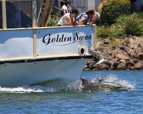 moreton bay boat tours