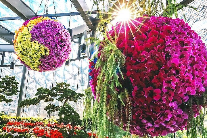 Floral Fantasy at Gardens by the Bay Reopens with Vibrant Blooms