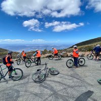 Mt Wellington Descent Bike Ride (Hobart): All You Need to Know