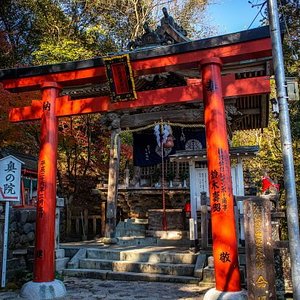 祐徳稲荷神社 口コミ 写真 地図 情報 トリップアドバイザー